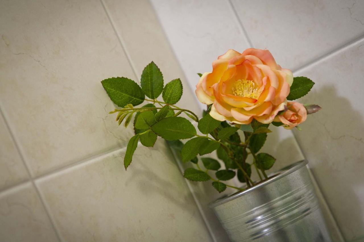 Domus Liberta - Boutique Rooms ตรีเอสเต ภายนอก รูปภาพ